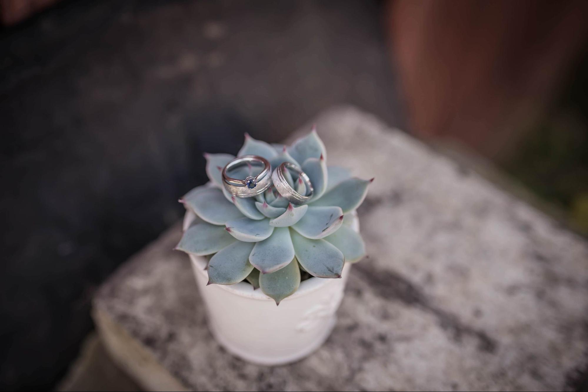A pair of platinum bridal jewelry sits on a potted succulent.