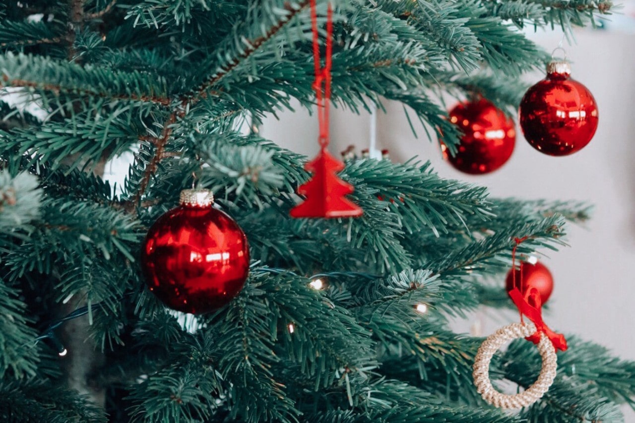 A closeup of red ornaments hanging on a Christmas tree.