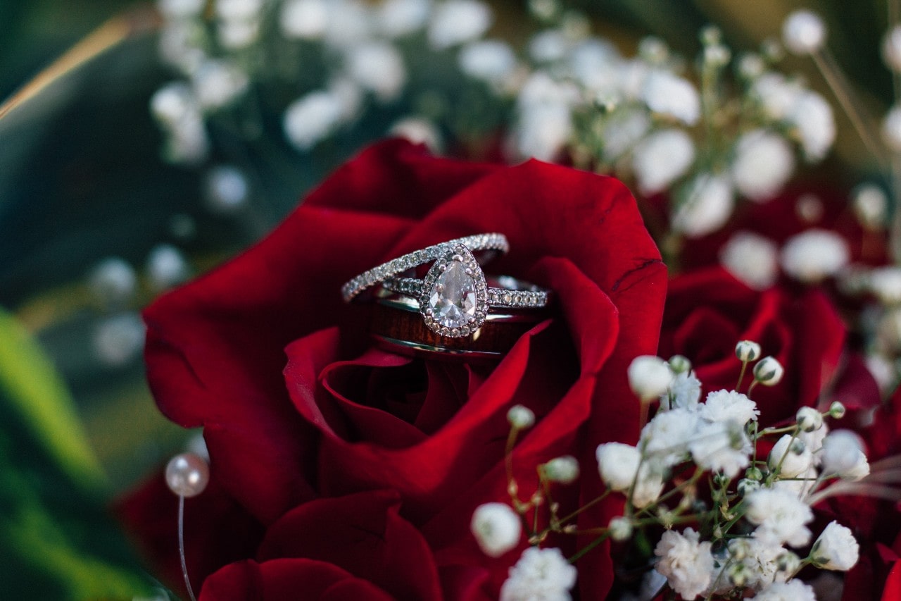 A pear shaped halo engagement ring with a diamond wedding band sits on a red rose.